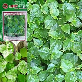 Mua HẠT GIỐNG RAU CÀNG CUA