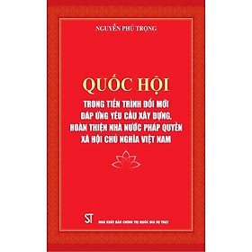 Quốc Hội trong tiến trình đổi mới đáp ứng yêu cầu xây dựng, hoàn thiện nhà nước pháp quyền xã hội chủ nghĩa ở Việt Nam - bản in 2024