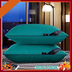 Mua Ruột Gối Cao Cấp