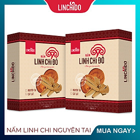 COMBO 2 HỘP NẤM LINH CHI NGUYÊN TAI 250 GRAM