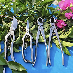 Mua Bộ Dụng Cụ Cắt Tỉa Bonsai  Cây Cảnh Chuyên Nghiệp Thép Trắng Đúc Nguyên Khối  Gồm : Kìm Cạp Tròn + Cạp Xéo + Kéo Cắt Cành + Kéo Tỉa Lá