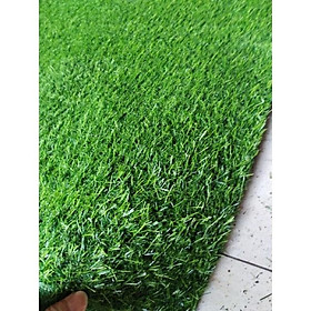 Mua Combo 25 mét vuông thảm cỏ nhân tạo sân vườn 2 cm