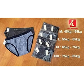 10 quần sịp nam tam giác loại 1 100% cotton.