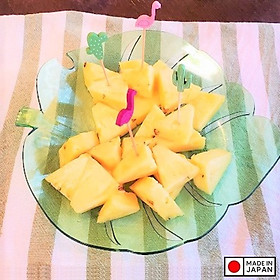 Mua Đĩa nhựa pha lê hình chiếc lá Yamada Monstera - Hàng Nội Địa Nhật Bản