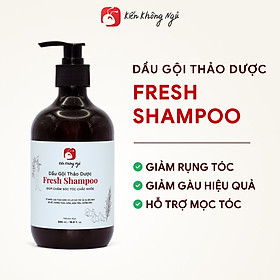 Dầu gội thảo dược Fresh Shampoo giảm rụng tóc, giảm gàu, nuôi dưỡng tóc mềm mượt và chắc khỏe từ gốc 500ml