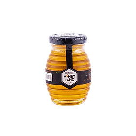 MẬT ONG HOA XUYẾN CHI HONEYLAND 110G