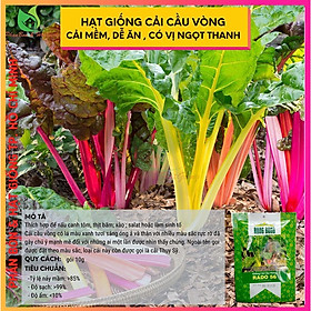Mua Hạt Giống Rau Cải Cầu Vòng Dễ Trồng  Giàu Dinh Dưỡng 10gr - Rạng Đông - Shop Phân Bón và Hạt Giống