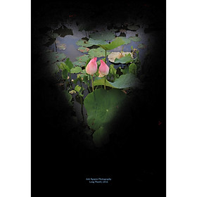 Mua Tranh canvas hoa Sen treo phòng khách ST-00342