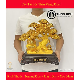 Mua Cây Kim Tiền Tài Lộc Thân Vàng Size 35cm - Món Quà Của Sự Sung Túc - Mang Lại Sự May Mắn - Phát Lộc   Phát Tài - Có Video Thực Tế