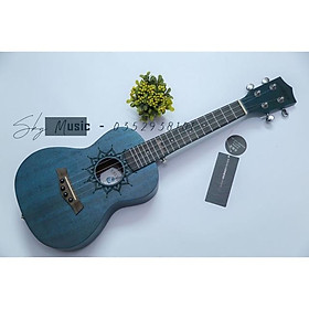 Mua Đàn ukulele concert gỗ cao cấp