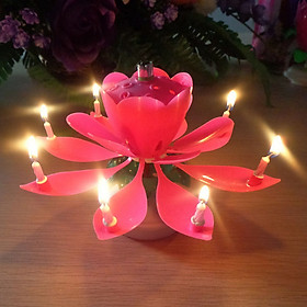 Mua Nến sinh nhật nở hoa và phát nhạc V.2 - Màu hồng