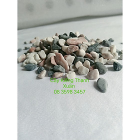 Mua đá sỏi màu hỗn hợp  - đá trang trí trồng cây - trang trí bể cá - sân vườn 0.5 kg