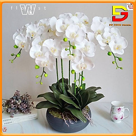 Mua Bình Hoa Lan Hồ Điệp Cao Su Y Thật Hoa Để Bàn Cao 60cm Trang Trí Phòng Khách Quầy Lễ Tân DG-101