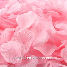 Mua COMBO 100 cánh hoa hồng