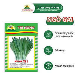 Mua Hạt Giống Ngò Gai Trí Nông   TN11  Dễ Trồng  Dễ Chăm Sóc  Thời Gian Thu Hoạch 35 ngày  Gói 10 gram