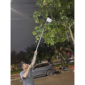 Đầu vợt hái trái cây