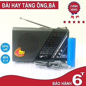 Mua ĐÀI FM Radio Pepe 9002BT - Hỗ Trợ Thẻ Nhớ Và USB - Âm Thanh Lớn  Rõ Nét-Hàng Chính Hãng