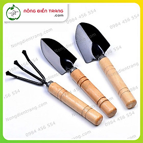 Hình ảnh Bộ 3 Dụng Cụ Làm Vườn Mini Cán Gỗ - Bền, Đẹp, Tiện Lợi VTNN Nông Điền Trang