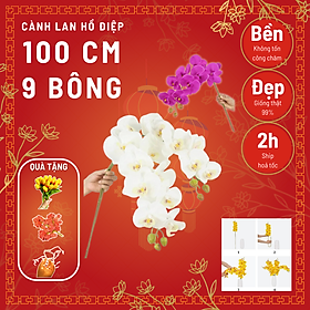 Mua Hoa lan hồ điệp 9 bông cao cấp - Hoa giả cao cấp