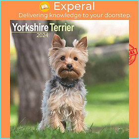 Sách - Yorkshire Terrier Calendar 2024  Square Dog Breed Wall Calendar - 16 Month by  (UK edition, paperback)