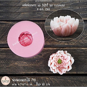 Mua Mẫu Đơn P13