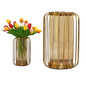 Desktop Glass Planter Hydroponics Vase, Planter Vase with Holder for Home Decoration, Modern Plant Terrarium Stand, Scindapsus Container