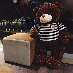 GẤU BÔNG Teddy ICHIGO khổ vải 1m