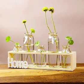 Set 5 Lọ Thủy Tinh Cắm Hoa Kèm Kệ Gỗ Trang Trí Nhà Cửa, Bàn Làm Việc - Tặng kèm 1 cột tóc quả bơ