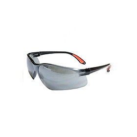 Kính Bảo Hộ Everest EV204
