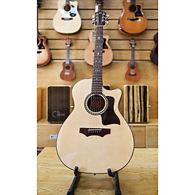 Mua Đàn guitar acoustic C#12AA (Khảm trai)