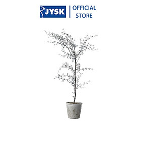 Mua Cây Trang Trí YNGVAR Ø13xH77cm