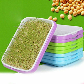 Mua Khay trồng rau mầm chuyên dụng  giá trồng rau mầm tiện lợi  sạch sẽ
