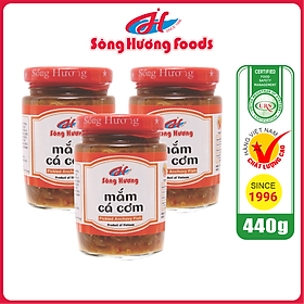 3 Hũ Mắm Nêm Cá Cơm Sông Hương Foods Hũ 440g