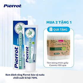 Kem đánh răng bảo vệ nướu chiết xuất lô hội PIERROT 75ml