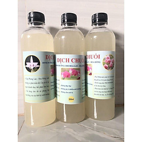 Mua Dịch Chuối Cao Cấp Dùng cho trồng Rau Sạch  Hoa Hồng  Hoa Mai và các loại cây kiểng khác