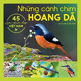 Sách - Những cánh chim hoang dã - 45 loài chim đẹp Việt Nam