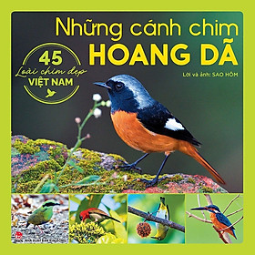 Những cánh chim hoang dã - 45 loài chim đẹp Việt Nam