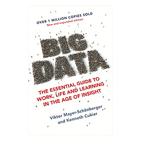 Big Data: The Essential Guide to Work, Life and Learning in the Age of Insight