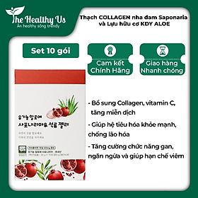 Thạch collagen nha đam Saponaria và Lựu hữu cơ KDY ALOE - Hàn Quốc