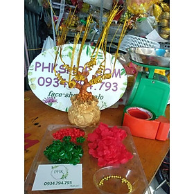Combo full bộ nguyên liệu hoa mẫu đơn chery 10 nhánh 35cm phk shop
