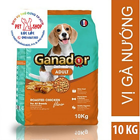 Thức ăn cho chó trưởng thành Ganador vị gà nướng Adult Roasted Chicken Flavor 10kg (dạng xá)