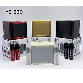 LOA BLUETOOTH KARAOKE SUYOSD YS-230 KÈM 2 Micro không dây -Hàng Chính Hãng