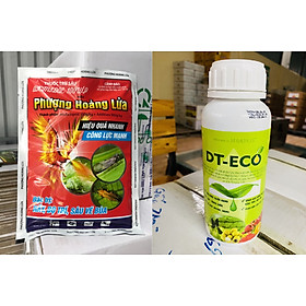 Combo trừ sâu PHL 200g và phân bón lá ECO 500ml - Diệt sâu chích hút trên lúa, ngô, khoai, cây ăn quả, cây rau - Chăm sóc cây yếu