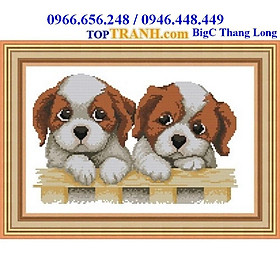 Mua Tranh thêu chữ thập con vật ngộ nghĩnh 2 con chó D002 (chưa thêu) tranh thêu cỡ bé