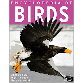 [Download Sách] Encyclopedia of Birds