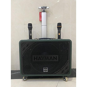 Mua Loa kéo di động Karaoke Hayman X8-12 ( 2 Micro)