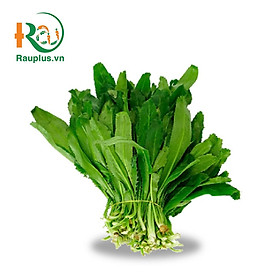 NGÒ RAI ĐẠT CHUẨN VIETGAP_100GRAM