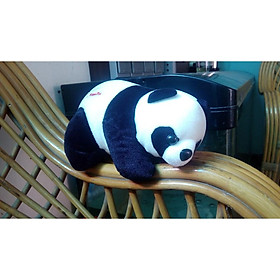 Mua Gấu bông gấu trúc dễ thương size 40 cm