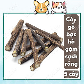 5 cây gỗ catnip bạc hà cho mèo gặm sạch răng thư giãn - Bivido