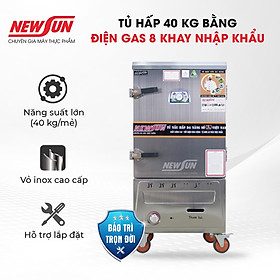 Mua Tủ Hấp Giò Chả  Thực Phẩm 40 Kg Bằng Điện Gas 8 Khay Nhập Khẩu NEWSUN - Hàng Chính Hãng